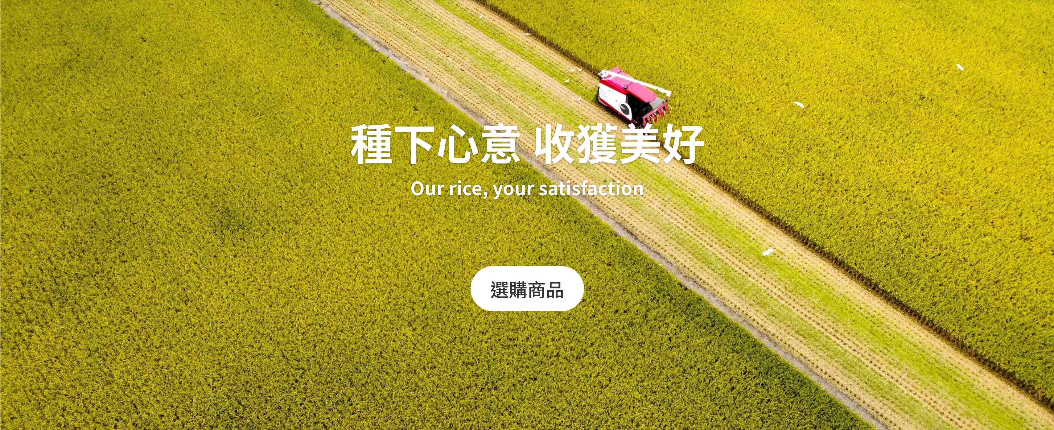 種下心意 收穫美好