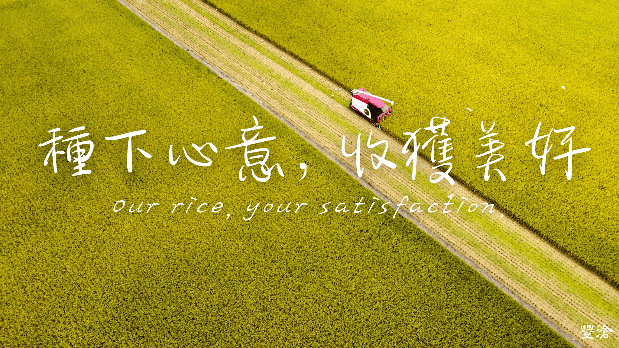 企業永續環境成功案例豐滄
